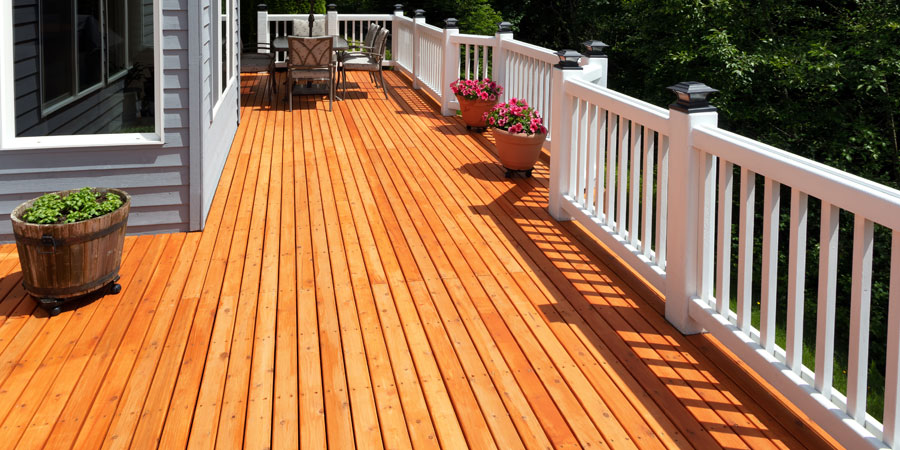 Cedar live Edge Slabs